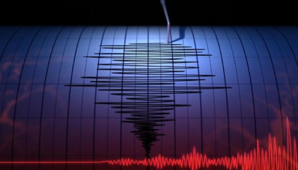 Gempa Magnitudo 4,1 Guncang Bogor, 17 Bangunan Rusak Termasuk Sekolah