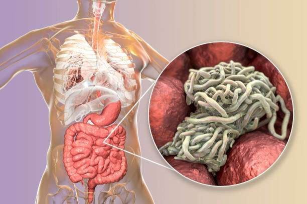 Rahasia Sehat: Pentingnya Obat Cacing bagi Dewasa