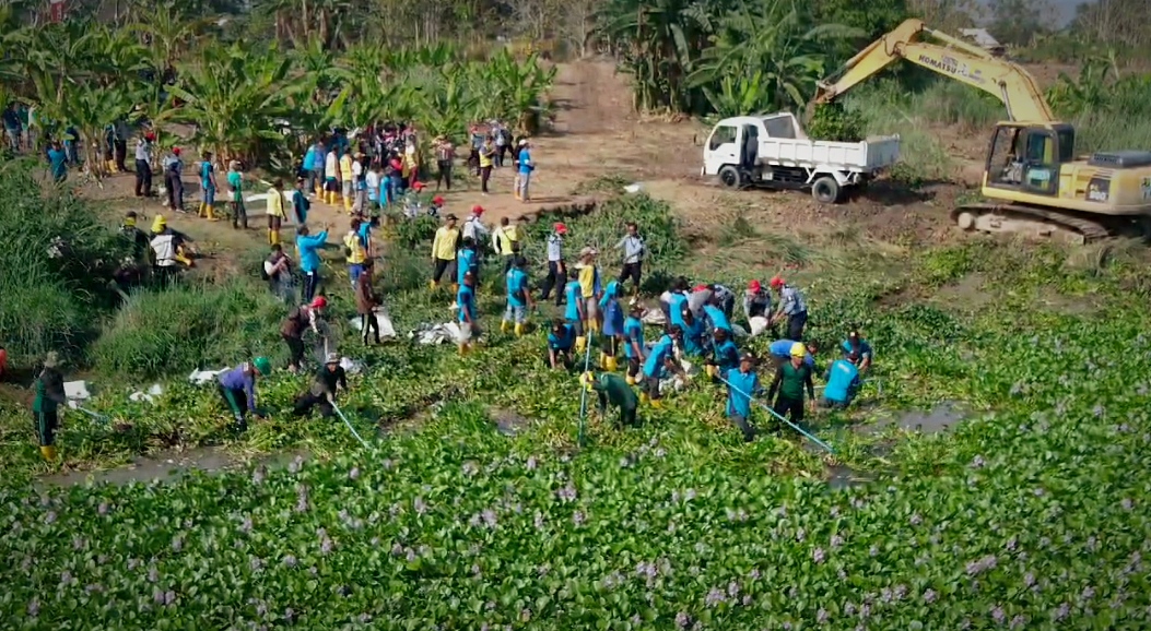 Eceng Gondok yang Menutupi Sungai Bengawan Solo Telah Dibersihkan