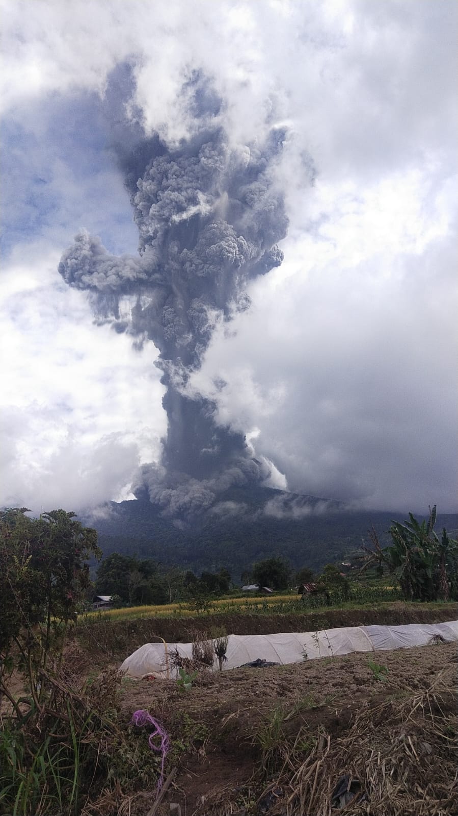 Gunung Marapi Sumbar Meletus: Ledakan Dahsyat dan Awan Abu Pekat Selimuti Langit!