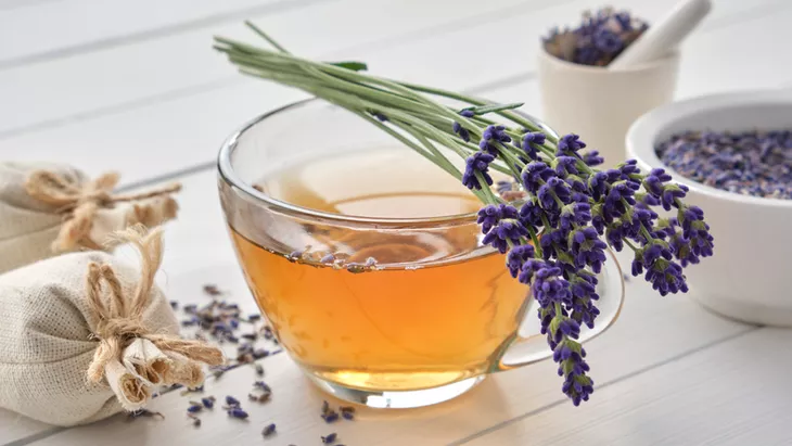 Teh Lavender, Ini Manfaatnya bagi Kesehatan