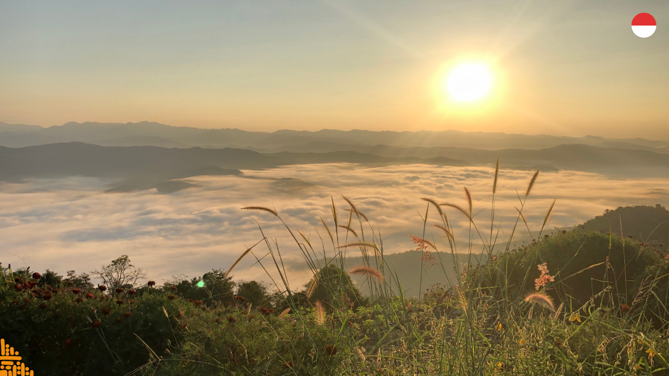 Luar Biasa, Vitamin D Punya Kemampuan Cegah Kanker