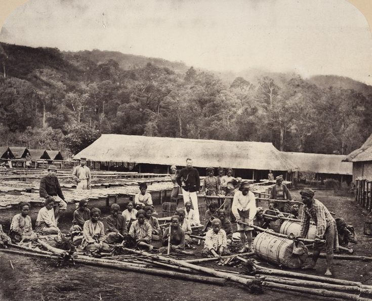 7 Fakta Mengejutkan Tentang Kerja Rodi: Digaji Tapi Dikemplang oleh Sesama Bangsa