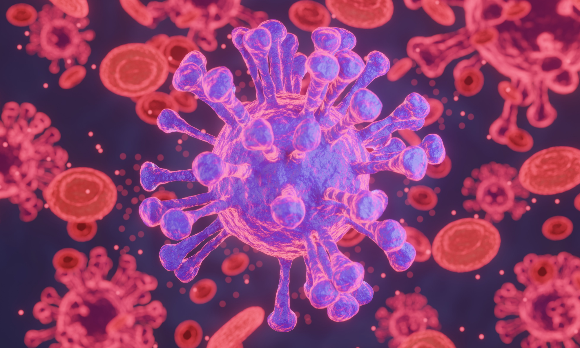 Kenali Gejala Cacar Monyet