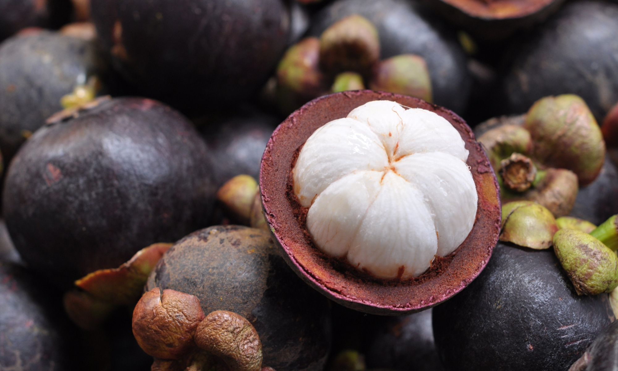 Manfaat Buah Manggis Bagi Kesehatan Tubuh Manusia