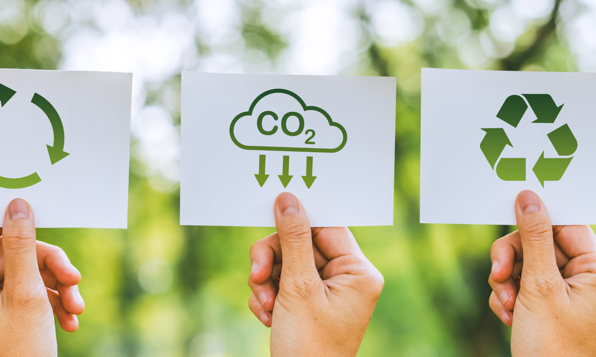 Perubahan Cuaca di Bulan November 2024: Antisipasi Dampak Cuaca Ekstrem di Indonesia