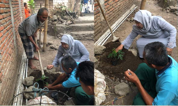 Kelompok KKN MBKM Mandiri UNRAM Dampingi Budidaya Pepaya Calina Dan Cabai di Pekarangan Warga