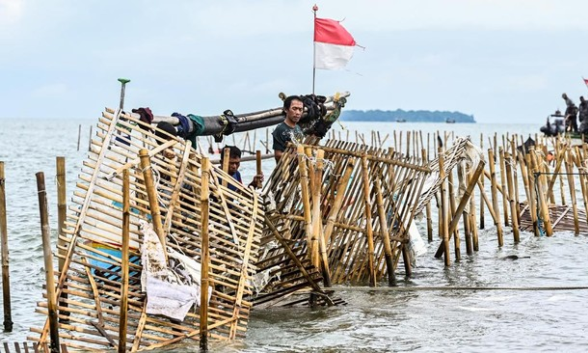 5 Fakta Pembongkaran Pagar Laut di Tangerang oleh 600 TNI AL dan Warga