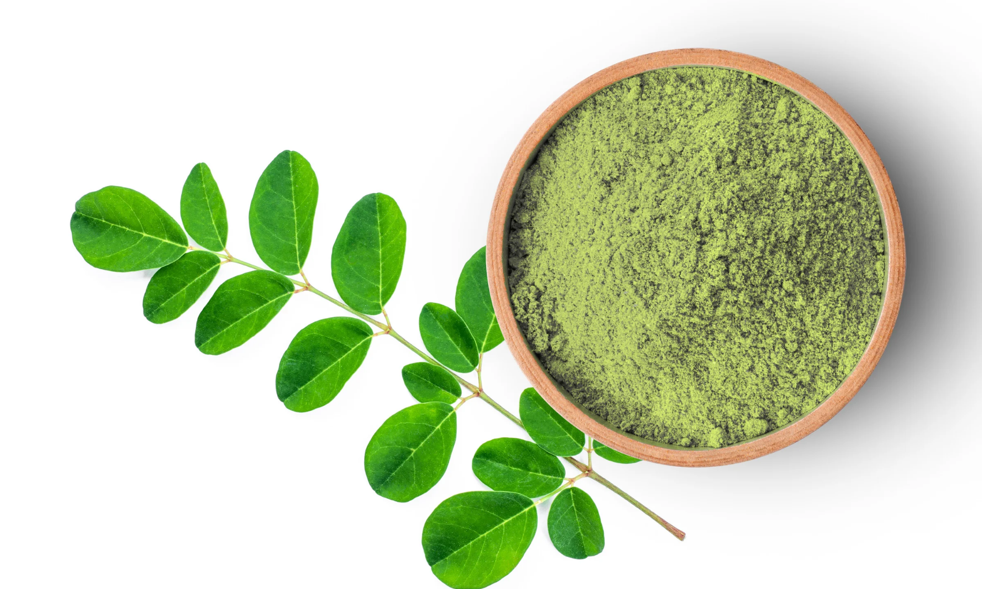 15 Manfaat Daun Kelor Bagi Kesehatan, Punya Segudang Manfaat