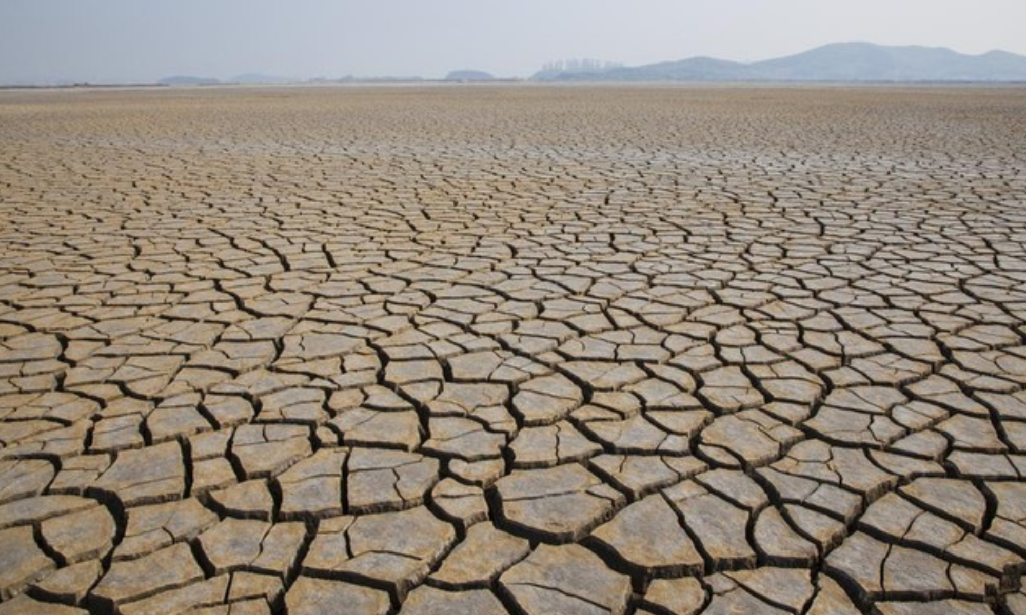 Musim Kemarau 2025: Waspada Dampak dan Upaya Antisipasi