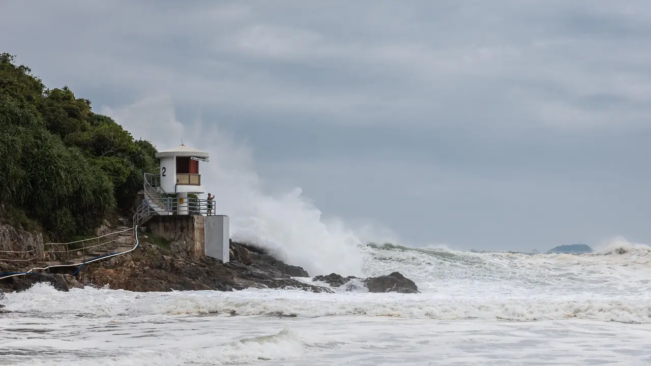 Topan Super Ragasa Terjang Hong Kong: 56 Terluka, 791 Mengungsi, dan 350 Pohon Tumbang