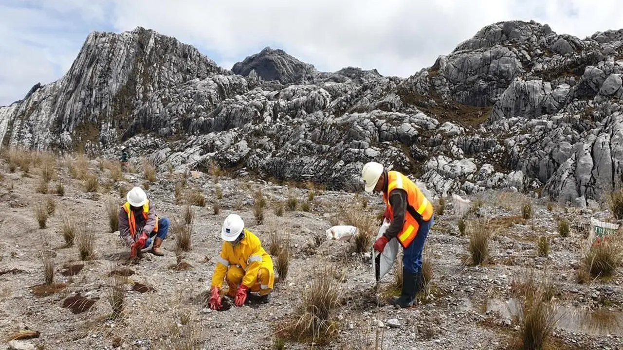 Produksi Freeport Turun 70% Imbas Longsor Tambang Grasberg, 7 Pekerja Terjebak