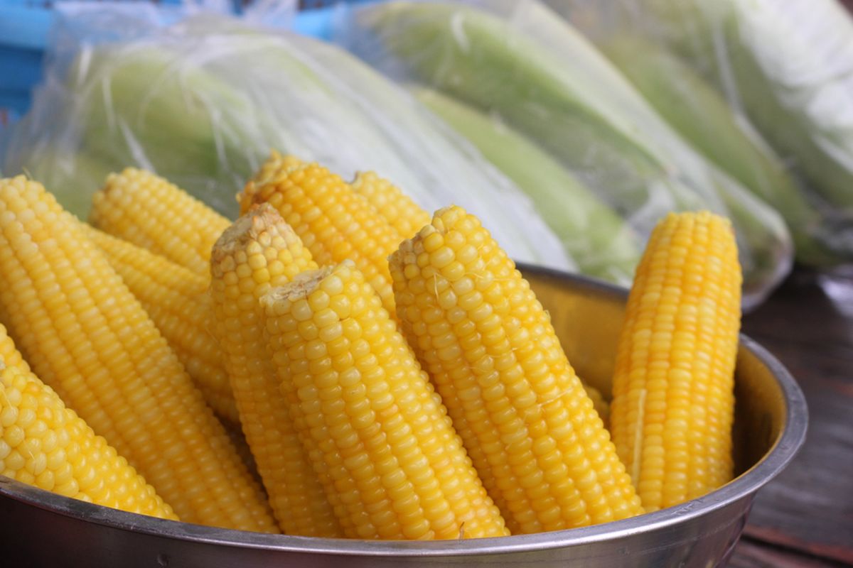 Makan Jagung Setiap Hari, Ini Manfaatnya!