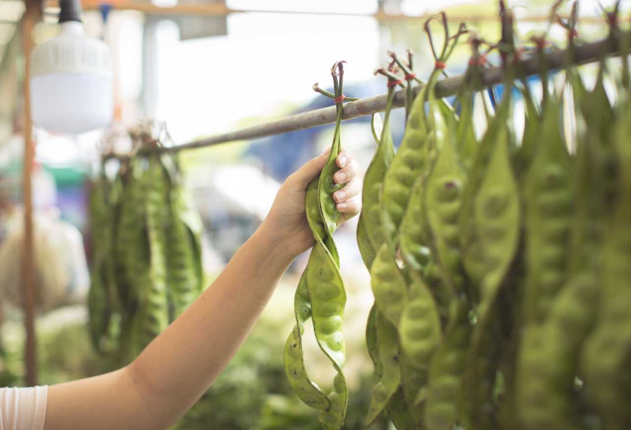 Benarkah Petai Merusak Ginjal? Fakta Medis dari Dokter Herbal Indonesia