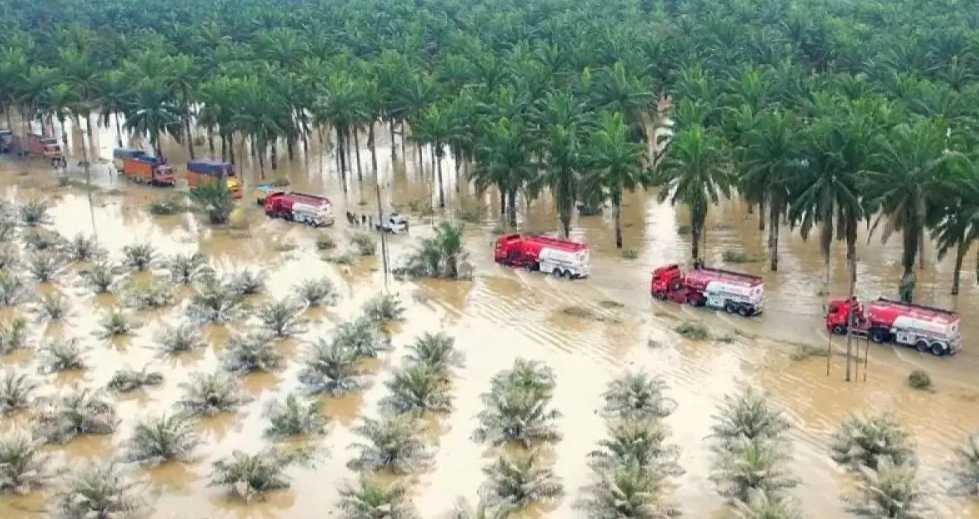 BNPB Estimasi Kerusakan Bencana Sumatra Capai Rp51,82 Triliun