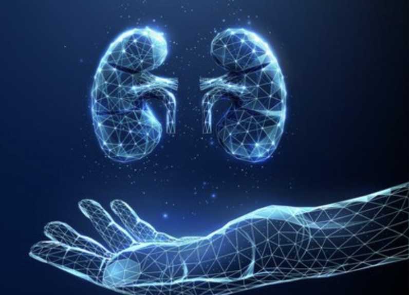 4 Kebiasaan Malam Hari yang Diam-diam Merusak Ginjal dan Picu Risiko Serius