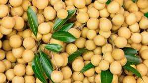 Khasiat Buah Kelengkeng bagi Kesehatan, Ini Manfaatnya