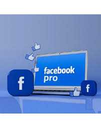 Panduan FB Pro Emak-Emak: Cara Aktif dan Monetisasi Konten