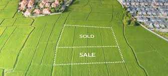 Cara Investasi ke Tanah agar Nilai Aset Terus Naik