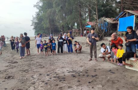 Pelepasan Tukik Penyu Hijau Di Pantai Pasir Jambak Padang Sumbar