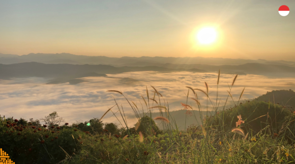 Vitamin D Punya Kemampuan Cegah Kanker