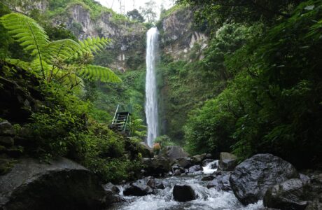 Wisata Malang - Coban Rondo