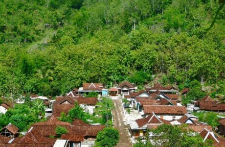 Wotawati Gunungkidul: Peluang Wisata dengan Daya Tarik Nuansa Kerajaan