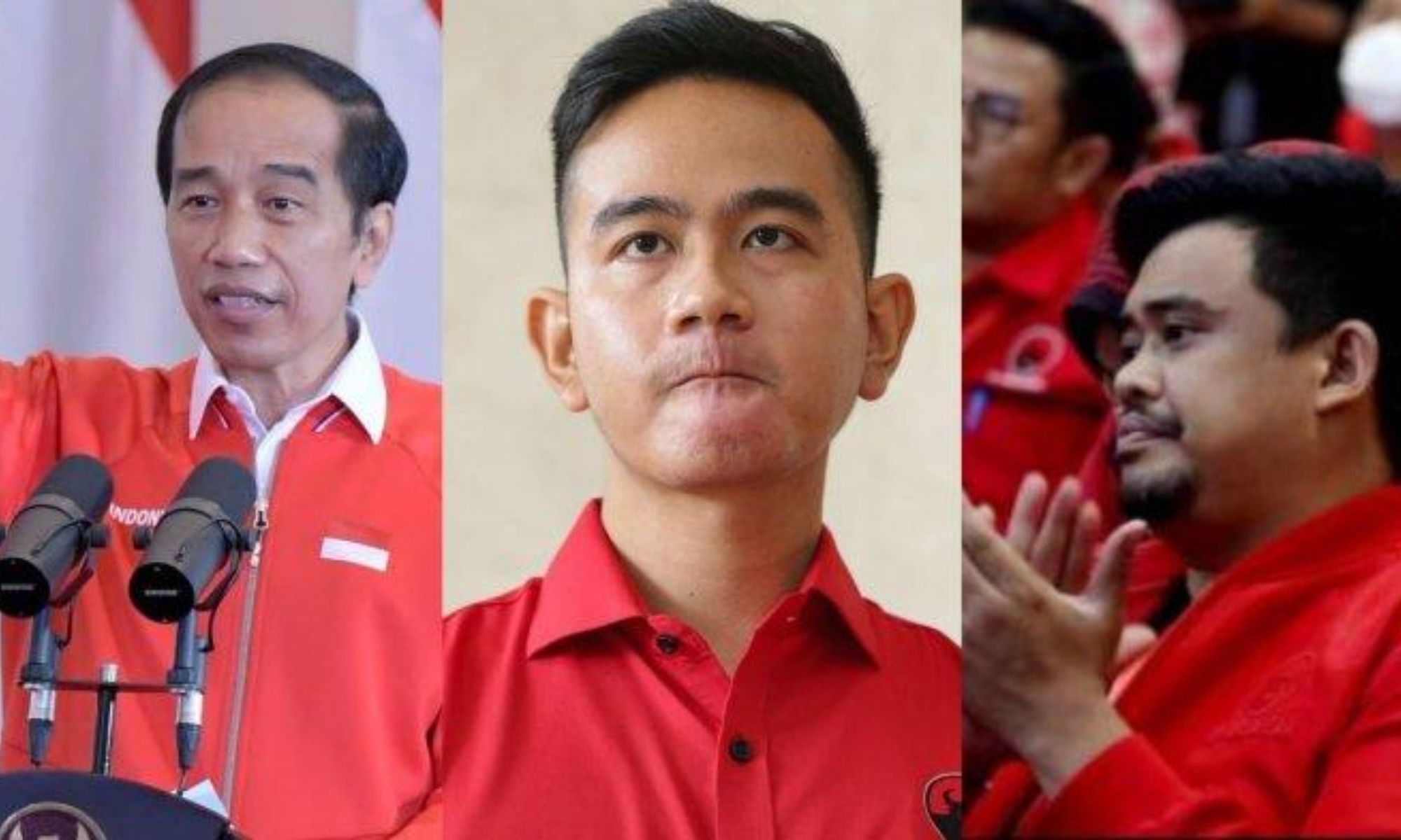 Jokowi, Gibran, dan Bobby Dipecat PDIP, Begini Tanggapan Mereka