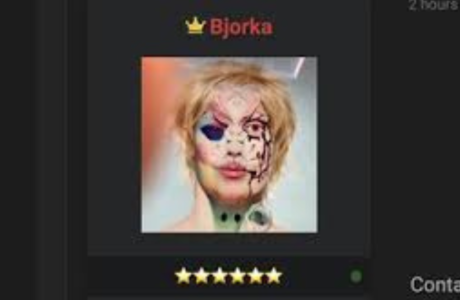 profil Bjorka