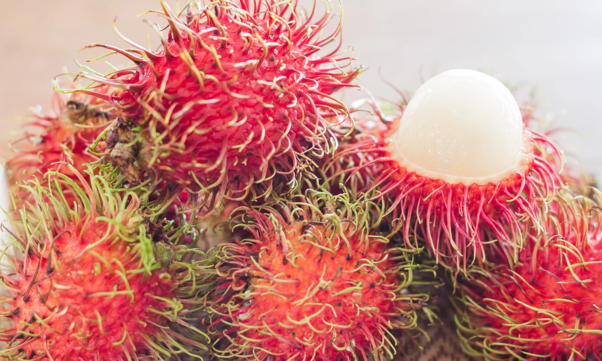 Rambutan