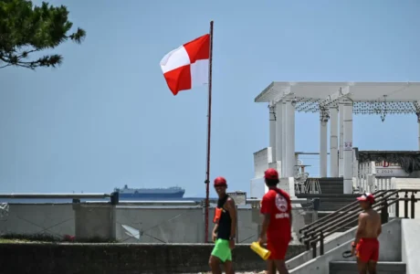 Gempa Dahsyat Rusia Magnitudo 8,8: Bandara Jepang Tutup dan Peringatan Tsunami Berlaku