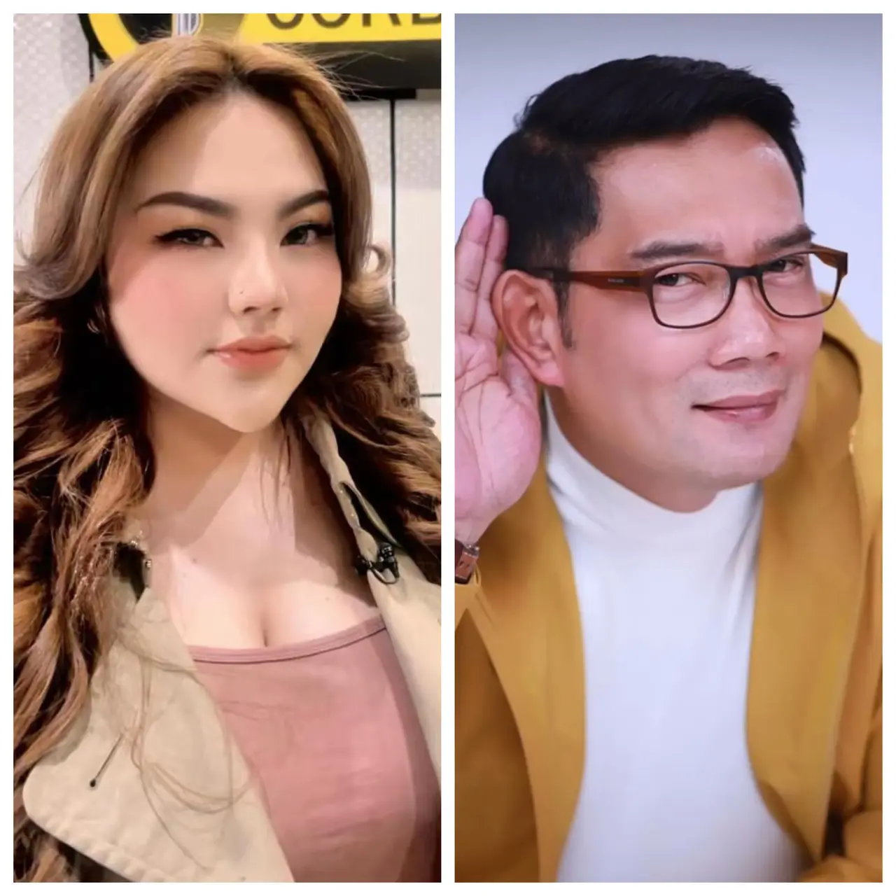 Hasil Test DNA Ridwan Kamil