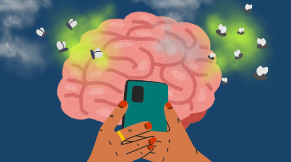 brain