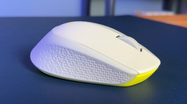 mouse
