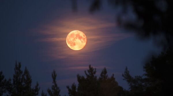 Fenomena Sturgeon Moon 2025: Purnama Unik 9 Agustus yang Sayang Dilewatkan!