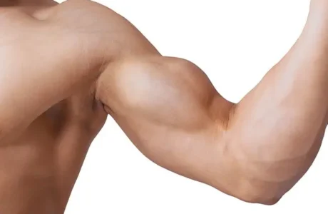 bicep