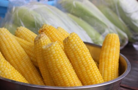 jagung