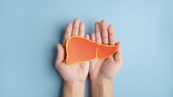 liver