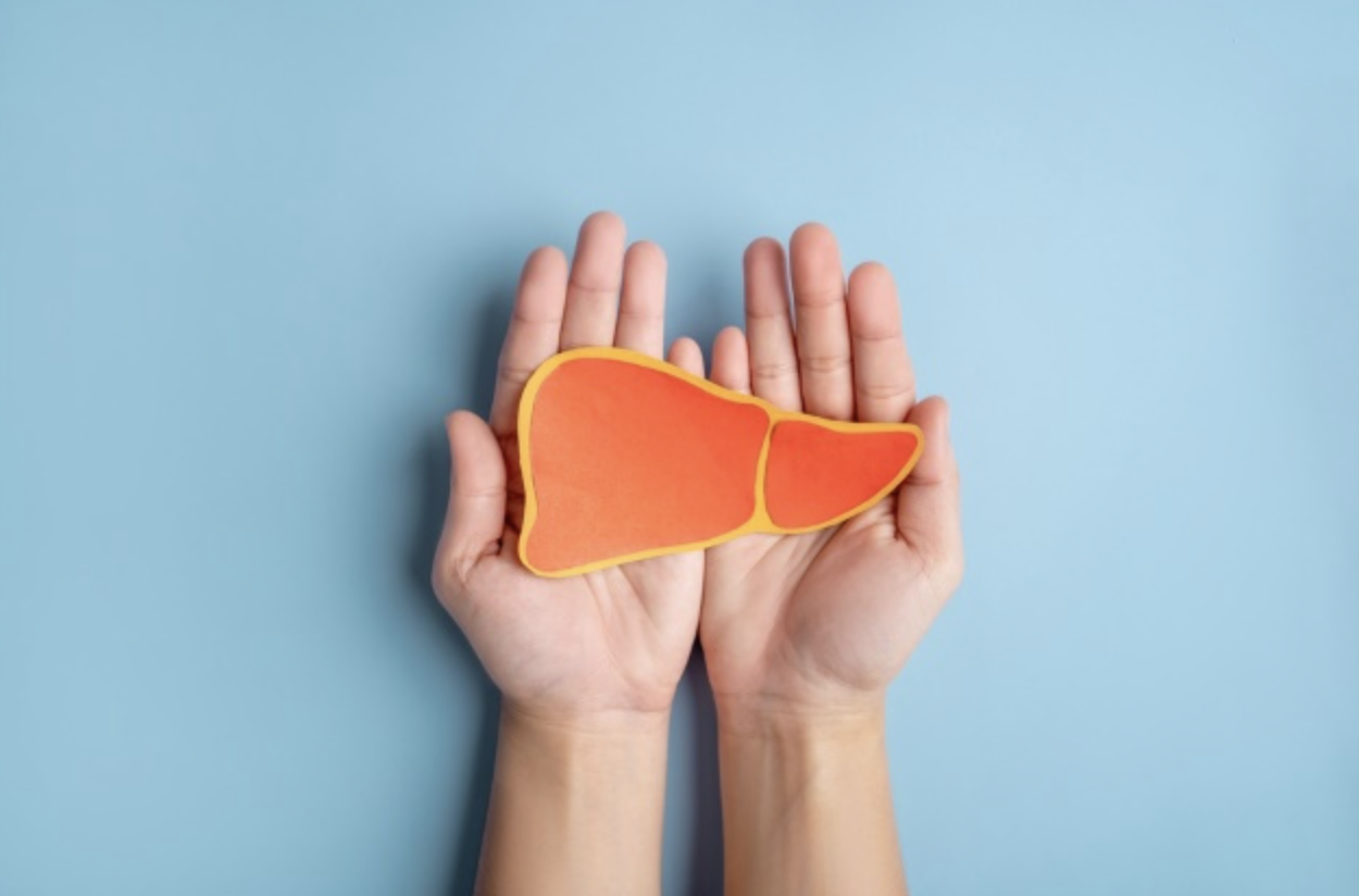 liver
