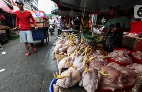 6 Dampak Mengejutkan Raperda KTR