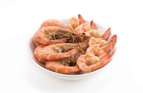 udang